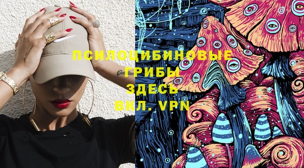 меф Арсеньев