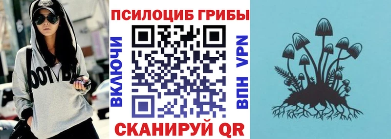 Псилоцибиновые грибы GOLDEN TEACHER  Купить закладки  Спасск-Дальний 