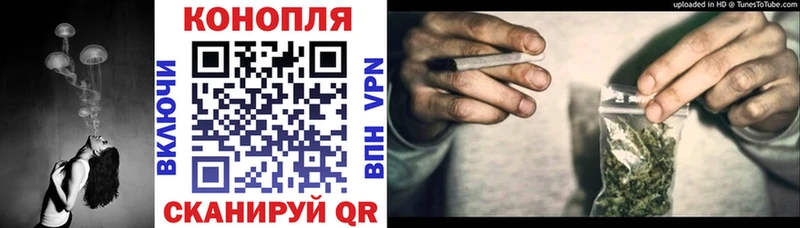 Купить где  Спасск-Дальний  Бошки Шишки сатива 